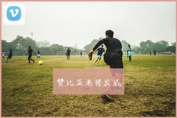 赞比亚老将发威