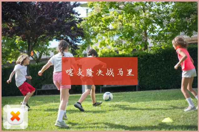 喀麦隆决战马里