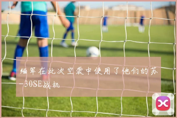 缅军在此次空袭中使用了他们的苏-30SE战机