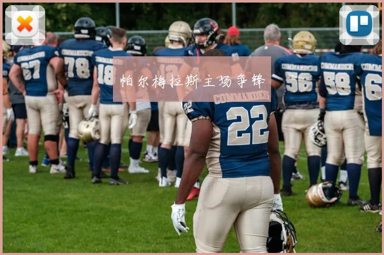 帕尔梅拉斯主场争锋