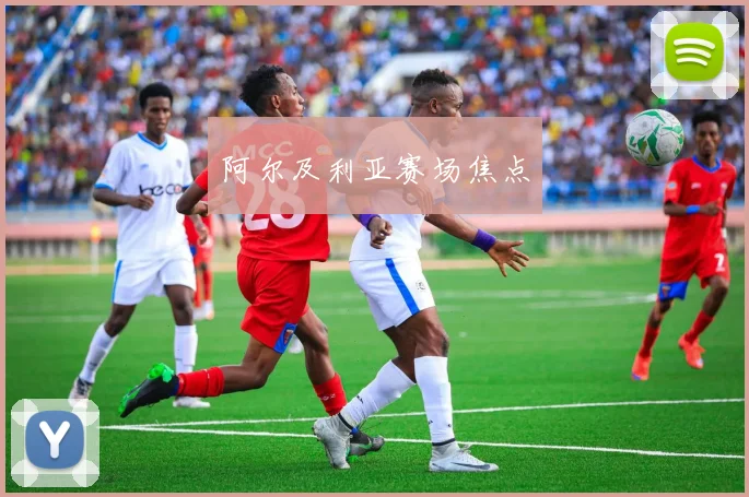 阿尔及利亚赛场焦点