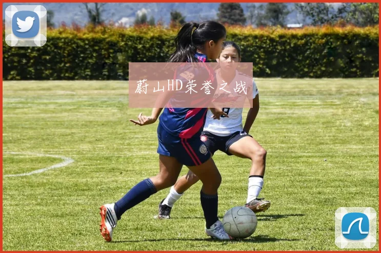 蔚山HD荣誉之战