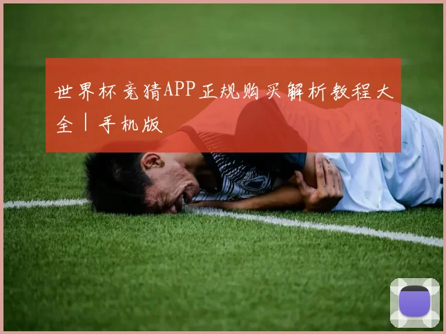 世界杯竞猜APP正规购买解析教程大全｜手机版
