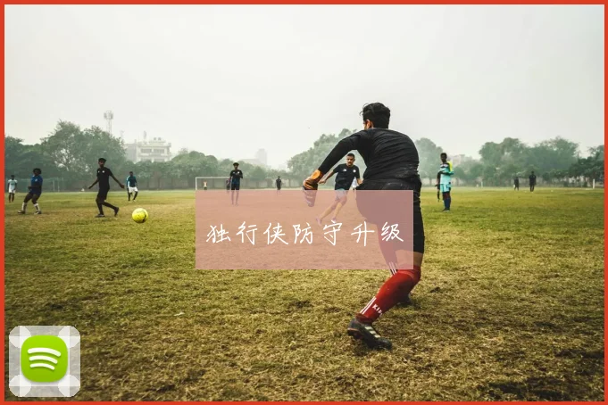 独行侠防守升级