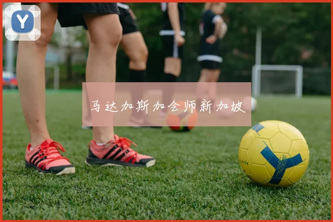 马达加斯加会师新加坡