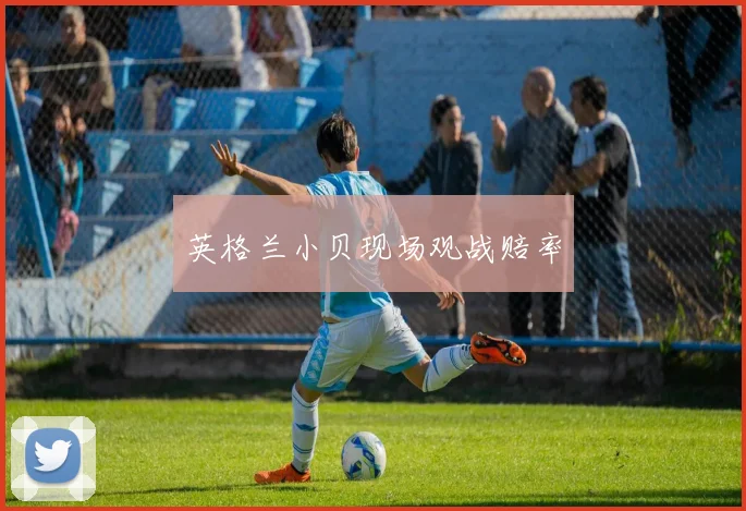 英格兰小贝现场观战赔率