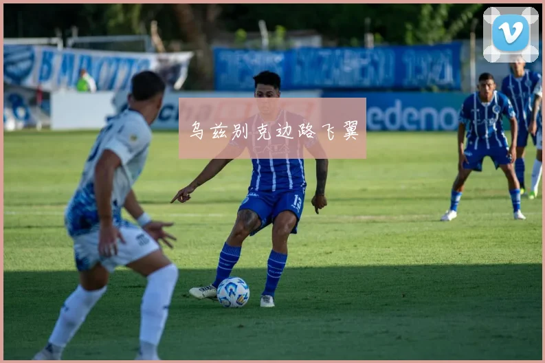 乌兹别克边路飞翼