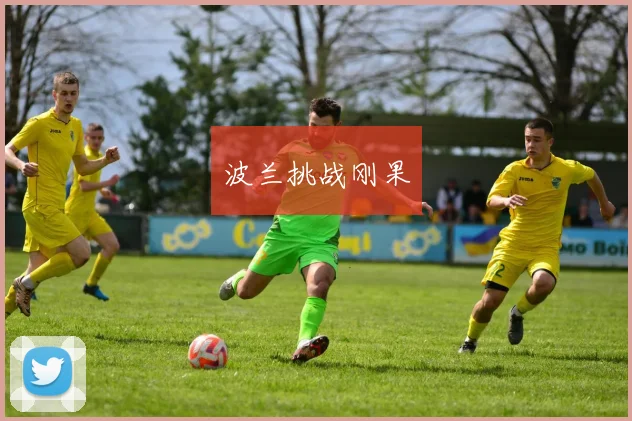 波兰挑战刚果