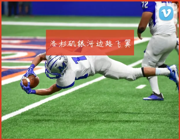 洛杉矶银河边路飞翼