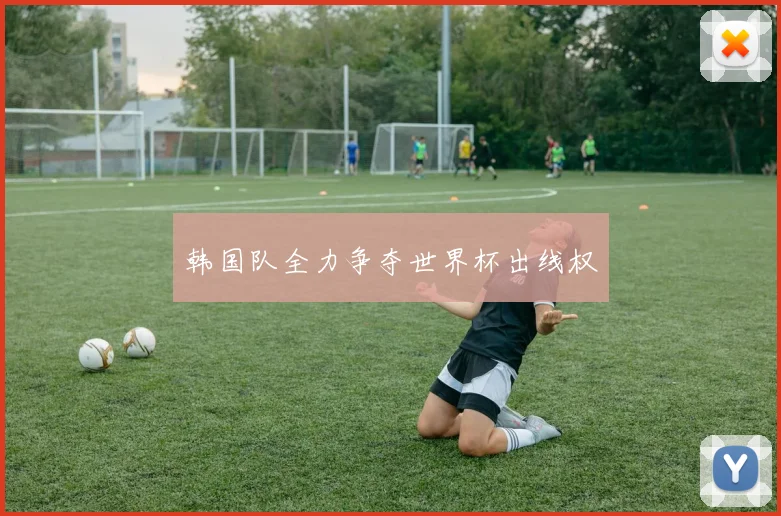 韩国队全力争夺世界杯出线权