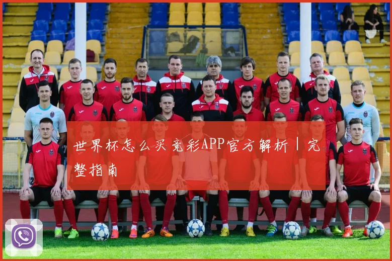 世界杯怎么买竞彩APP官方解析｜完整指南