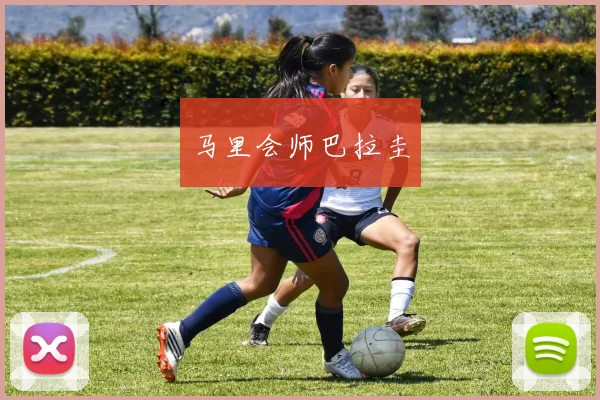 马里会师巴拉圭