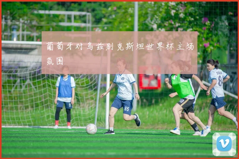 葡萄牙对乌兹别克斯坦世界杯主场氛围