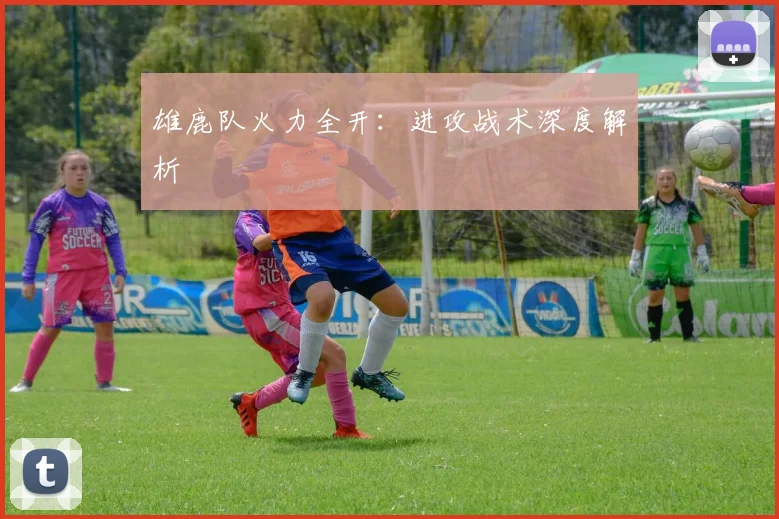 雄鹿队火力全开：进攻战术深度解析
