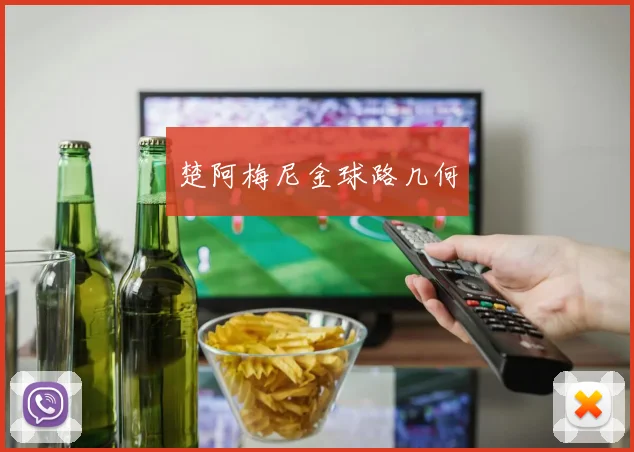 楚阿梅尼金球路几何
