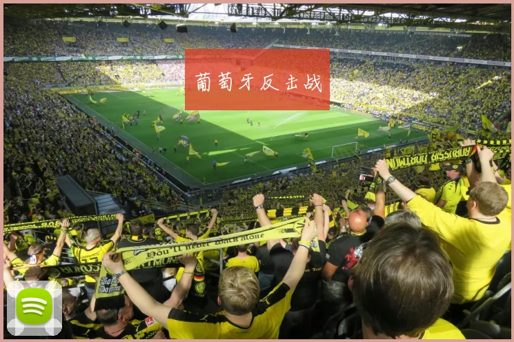 葡萄牙反击战