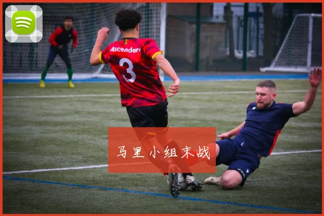 马里小组末战