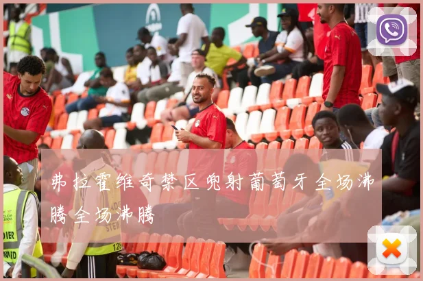 弗拉霍维奇禁区兜射葡萄牙全场沸腾全场沸腾